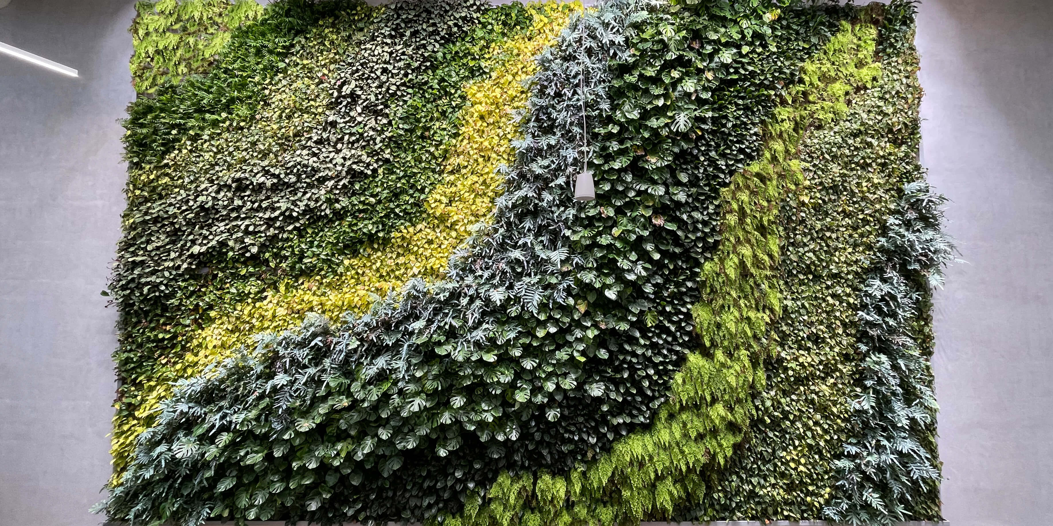 Theodor-Heuss-Schule, Wetzlar