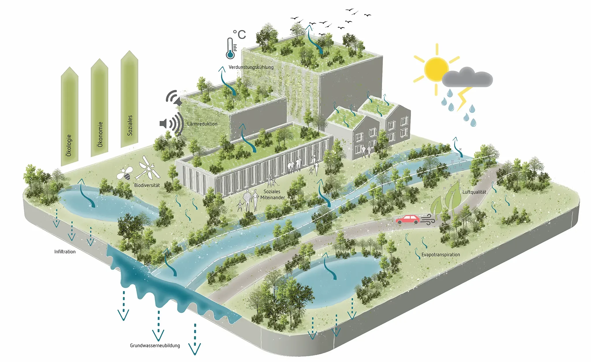 Blau Grüne Infastruktur