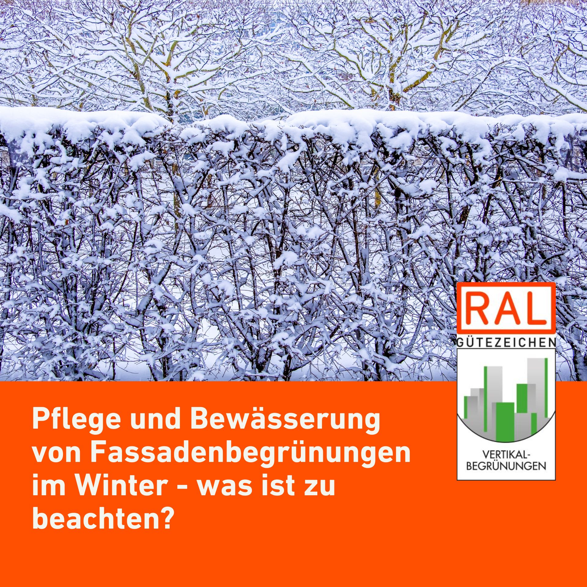 RAL Winterpflege