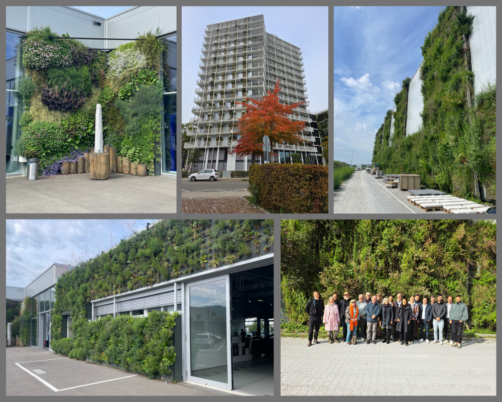 Vertikalbegrünungen Freiburg